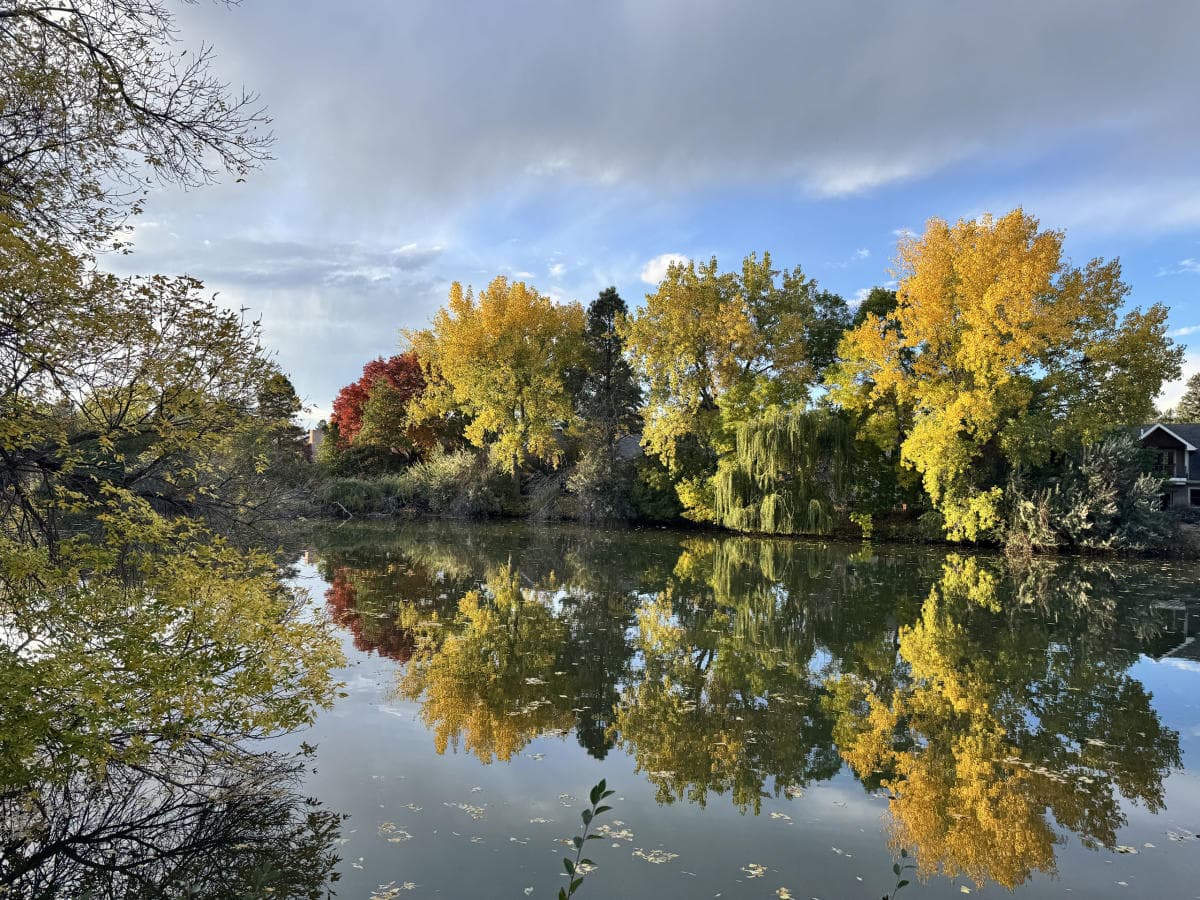 Fort_Collins-calm-pond-in-fall-spring-creek-trees_7804_4F169F5F-ECD2-4210-8E9621F3AE68AB5E_c59b4d1c-2a38-4892-a2e84f9c0606e5a8.jpg