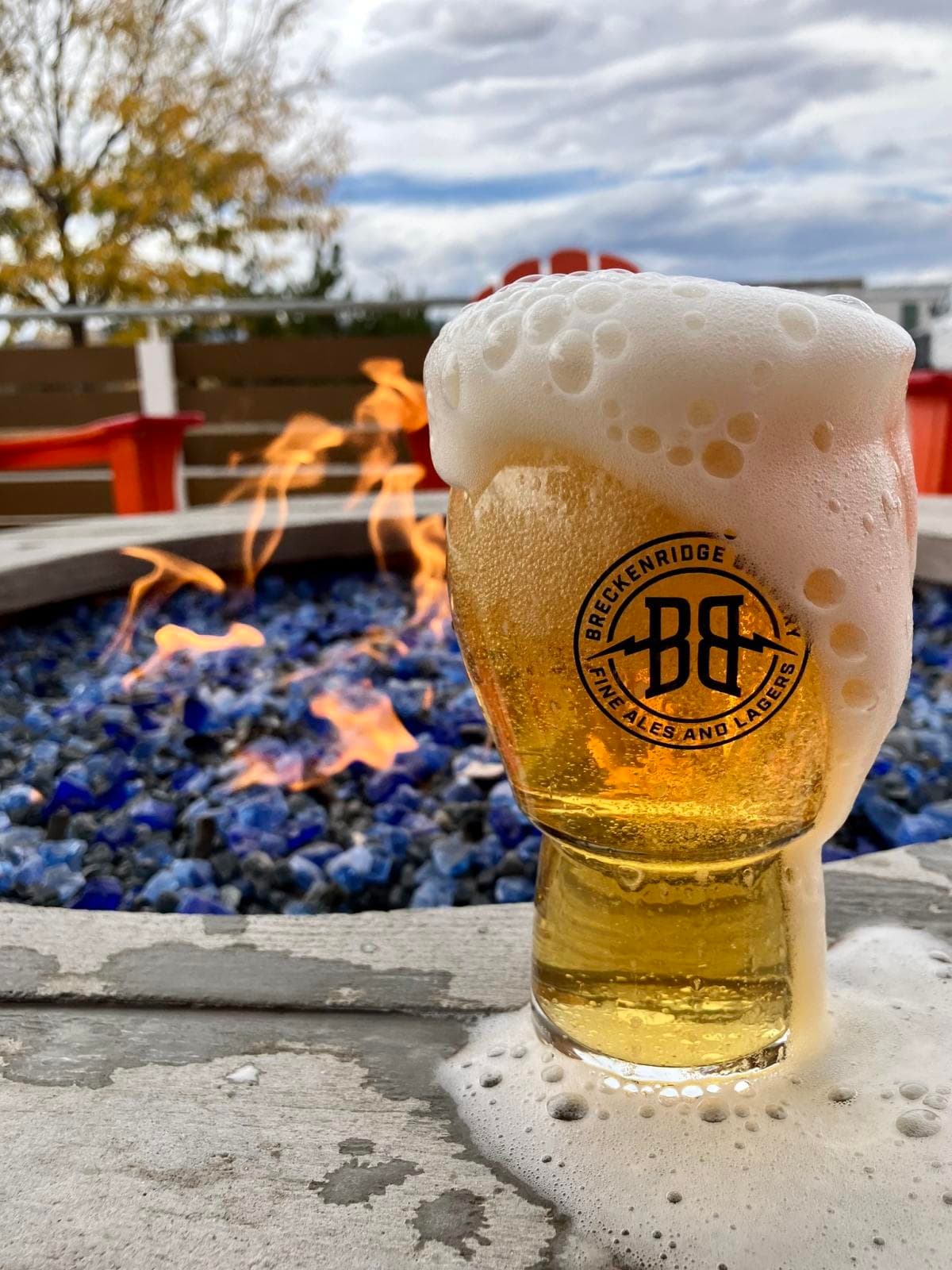1-beer_89815A19-E632-4BCB-8FB457C189C3B802_43941de7-7a89-4cfd-86f3f6f491603e7c.jpg